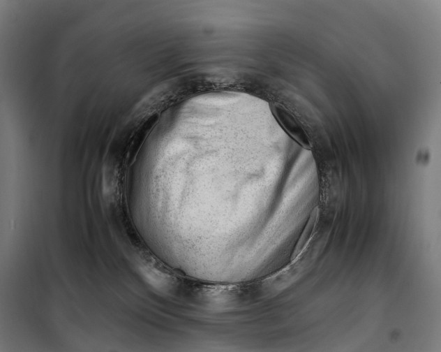 X0000099510136200806121447