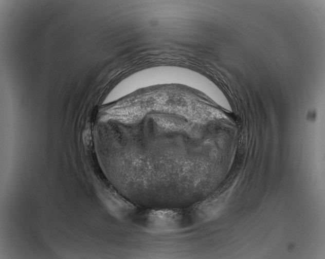 X0000099510137200806121447