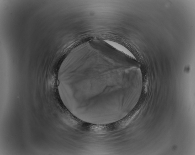 X0000099510139200806121447