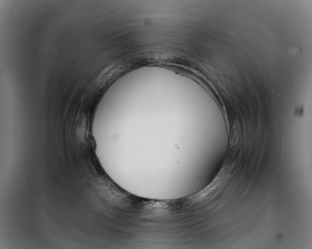 X0000099510140200806121447