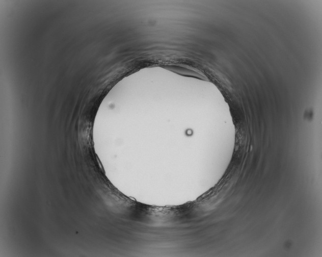 X0000099510141200806121447