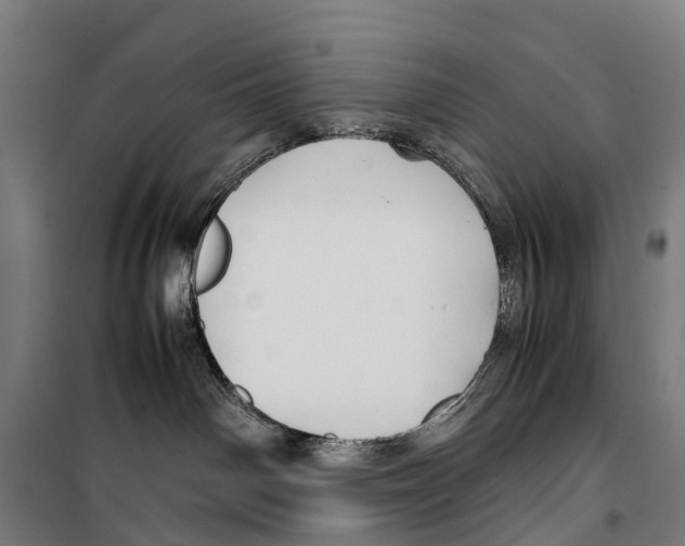 X0000099510142200806121447