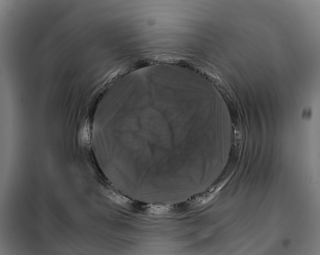 X0000099510143200806121447