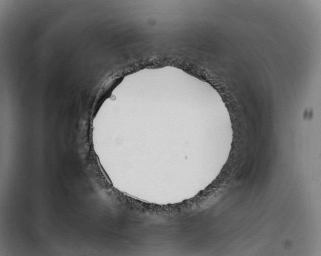 X0000099510144200806121447