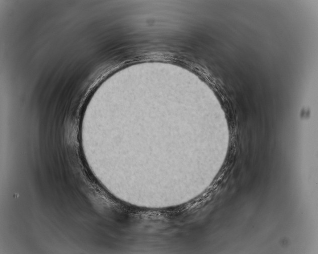 X0000099510146200806121446