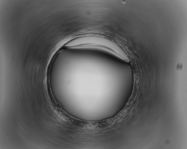 X0000099510148200806121446