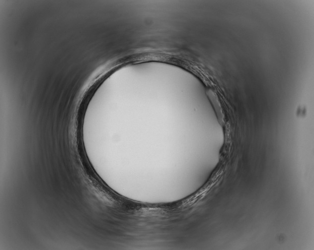 X0000099510150200806121446