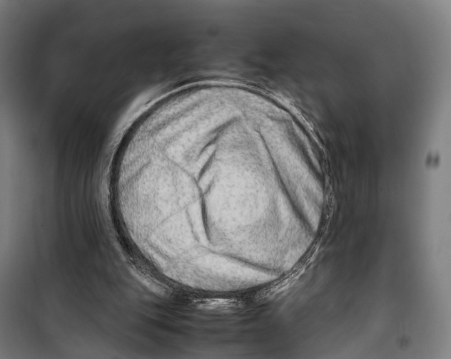 X0000099510151200806121446