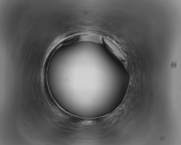 X0000099510152200806121446
