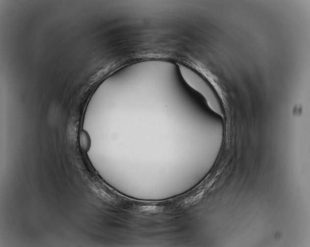 X0000099510153200806121446