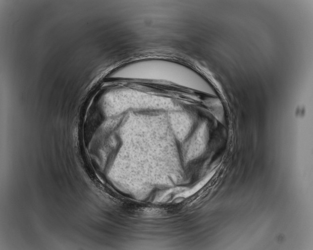 X0000099510154200806121446