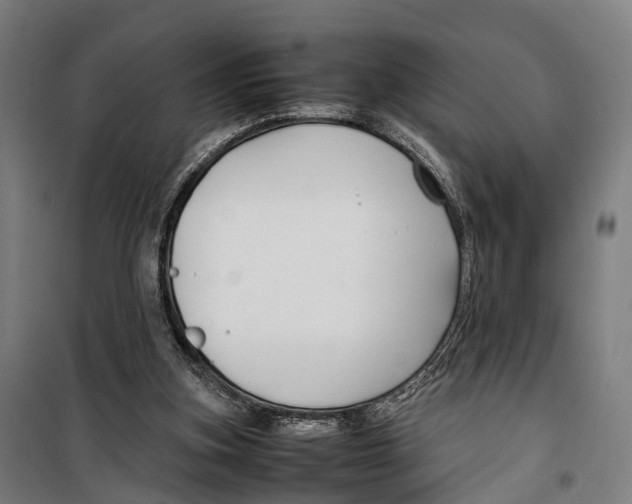 X0000099510155200806121446