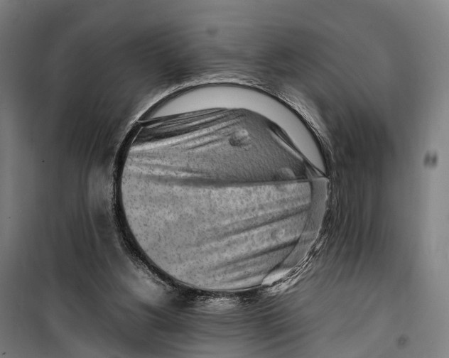 X0000099510156200806121446