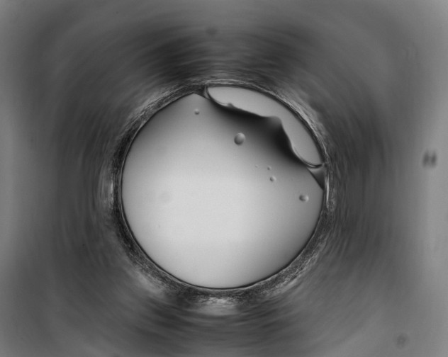 X0000099510157200806121447