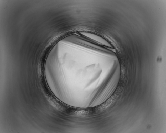 X0000099510158200806121447