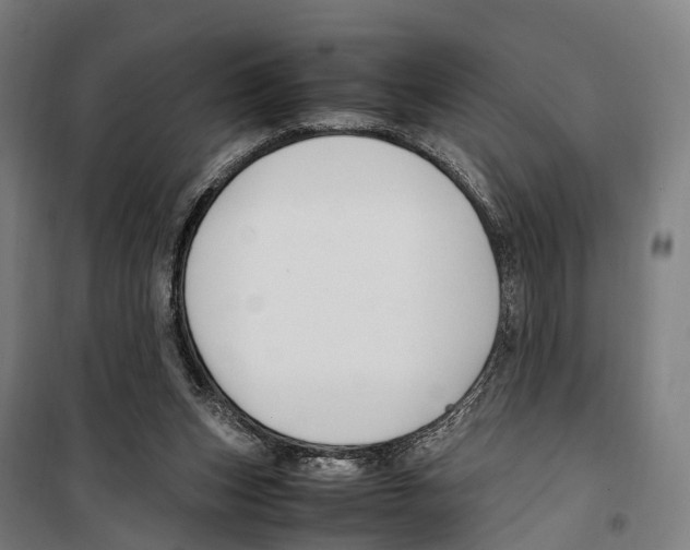 X0000099510159200806121447