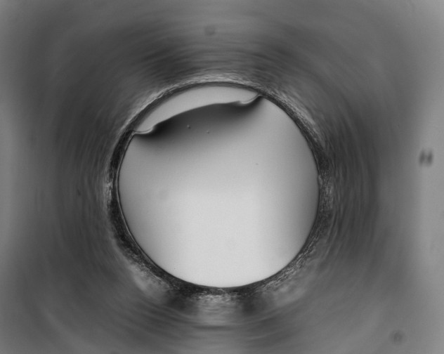 X0000099510160200806121447