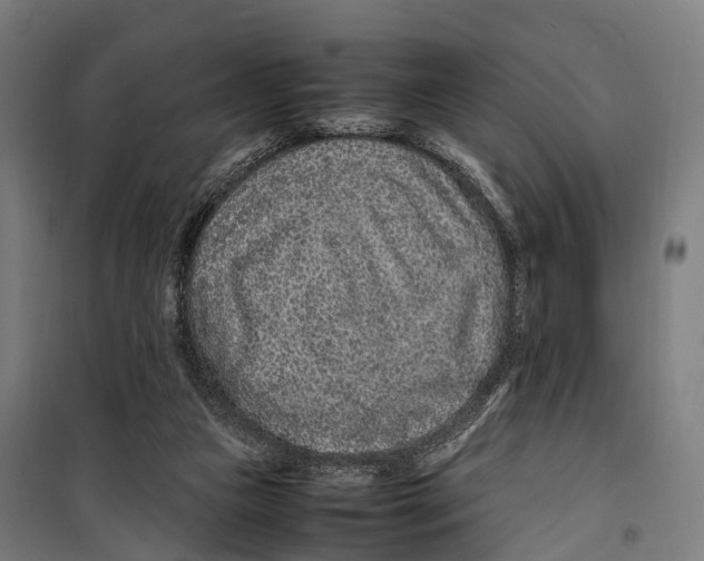 X0000099510161200806121447
