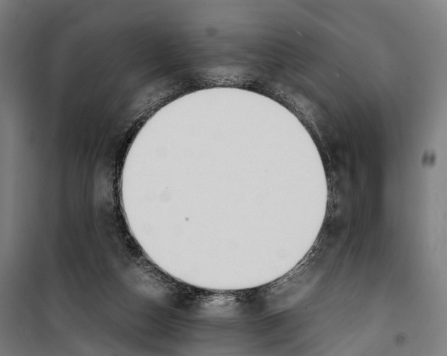 X0000099510162200806121447