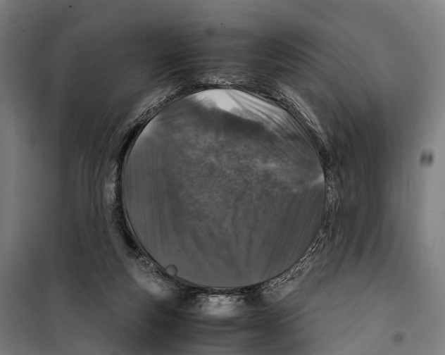 X0000099510163200806121447