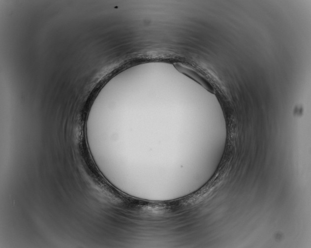 X0000099510164200806121447