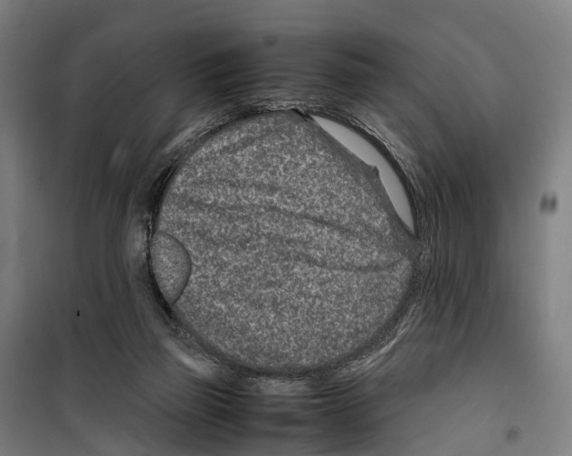 X0000099510165200806121447