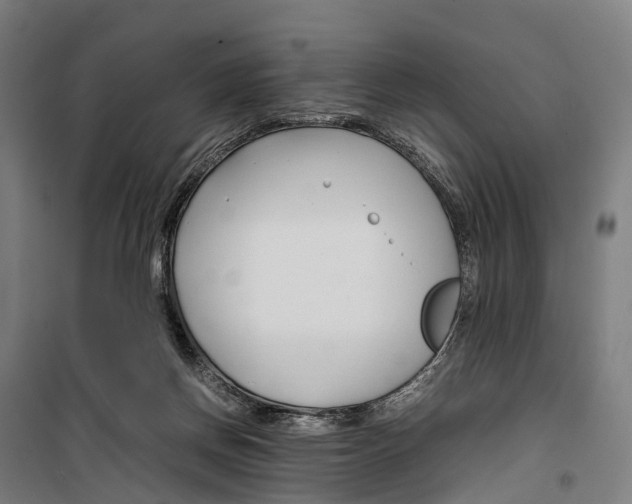 X0000099510166200806121447