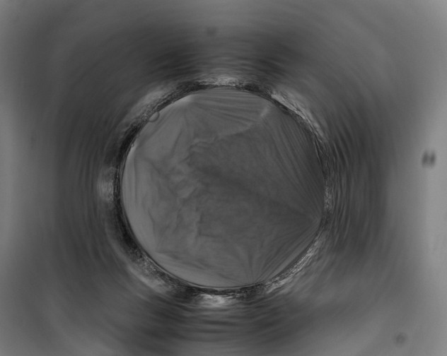 X0000099510167200806121447