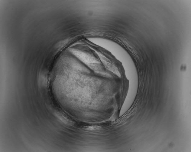 X0000099510168200806121447