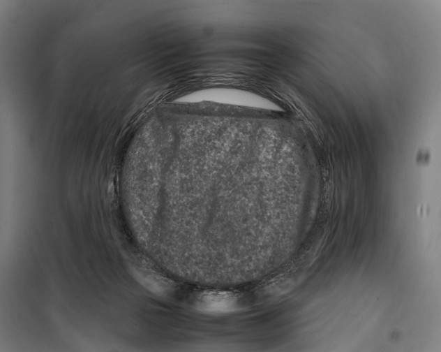 X0000099510169200806121447