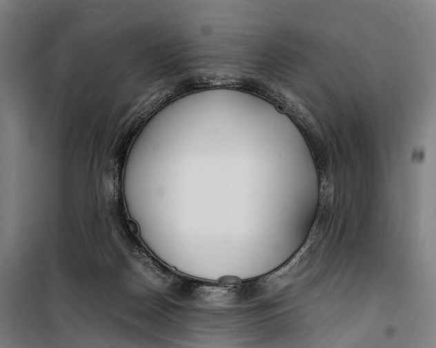 X0000099510170200806121447