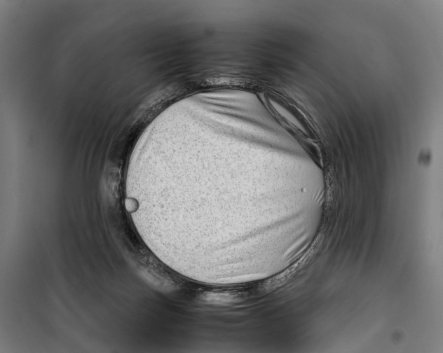 X0000099510171200806121447
