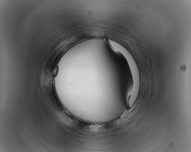 X0000099510172200806121447