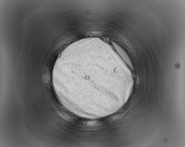 X0000099510173200806121447