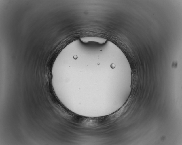 X0000099510174200806121447