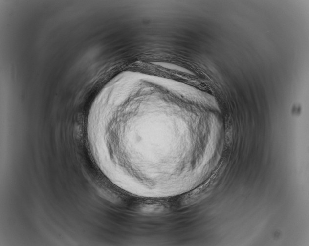X0000099510175200806121447