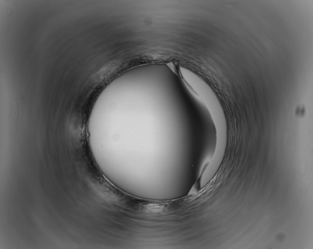 X0000099510176200806121447