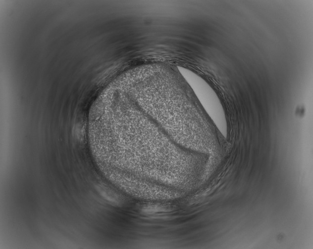 X0000099510177200806121447