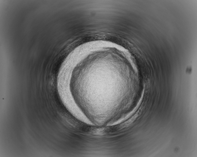 X0000099510178200806121447