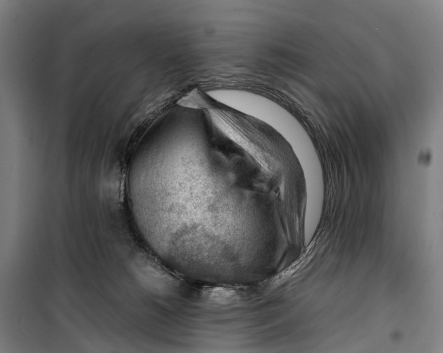 X0000099510180200806121447