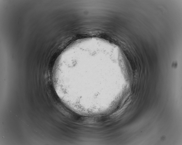 X0000099510182200806121447