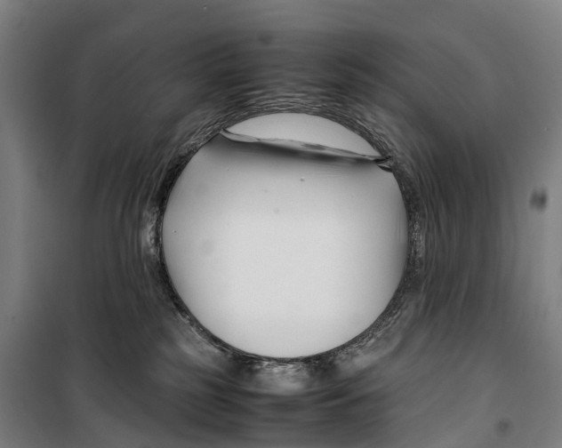 X0000099510185200806121447