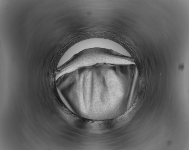 X0000099510186200806121447