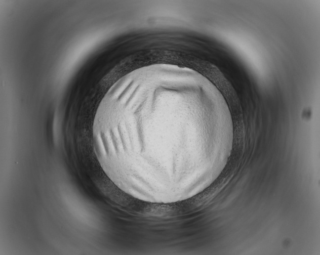 X0000099510189200806121447
