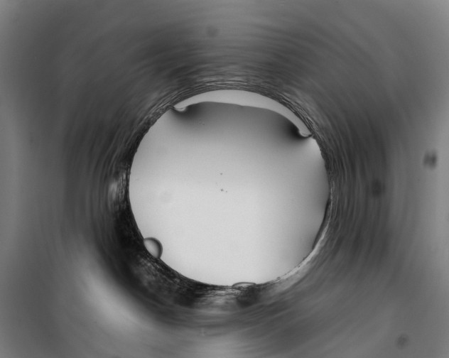X0000099510190200806121447