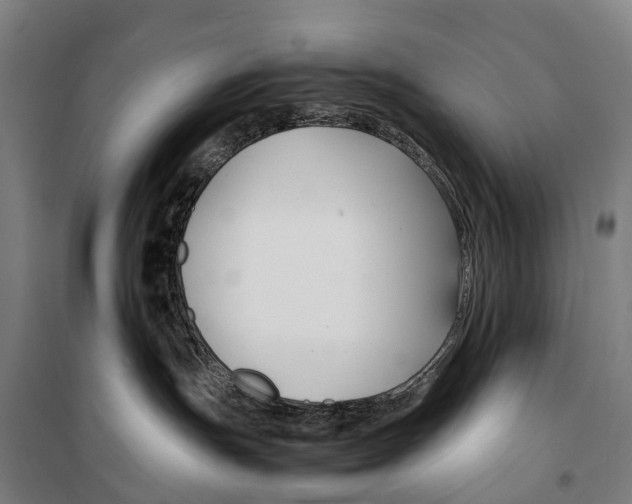 X0000099510191200806121447