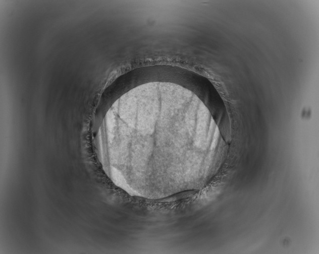 X0000099510192200806121447