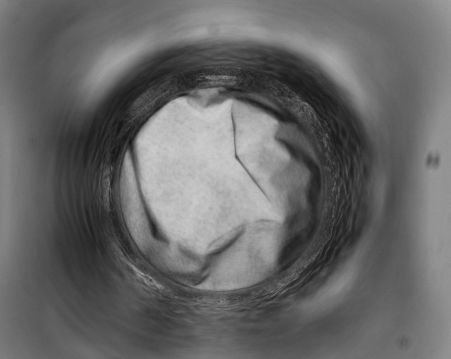 X0000099510194200806121446