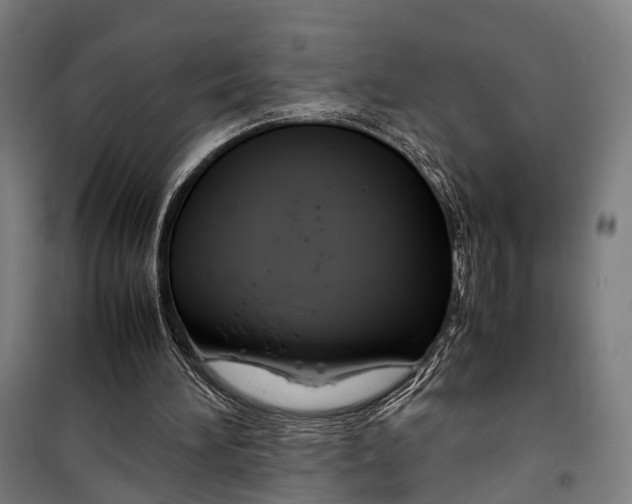 X0000099510196200806121446