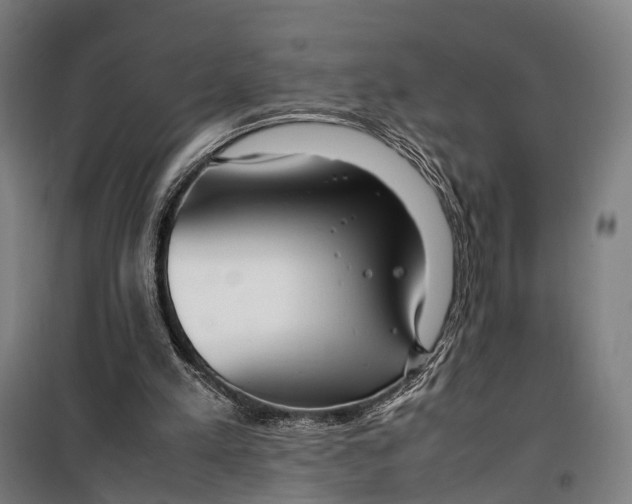 X0000099510197200806121446